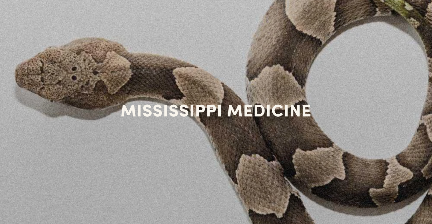 Mississippi Medicine Perfume